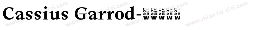 Cassius Garrod字体转换